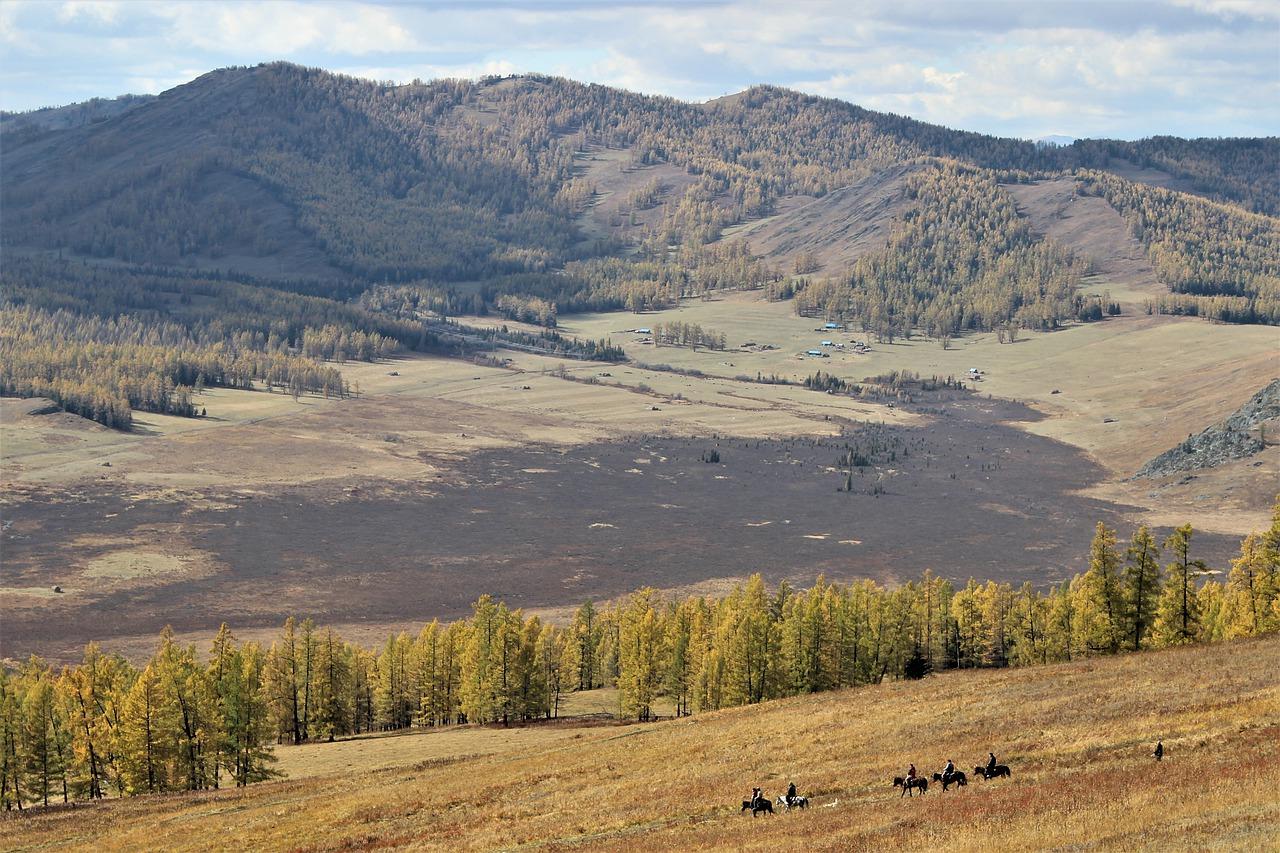 真爱条件_真爱趁现在下载_真爱定义
