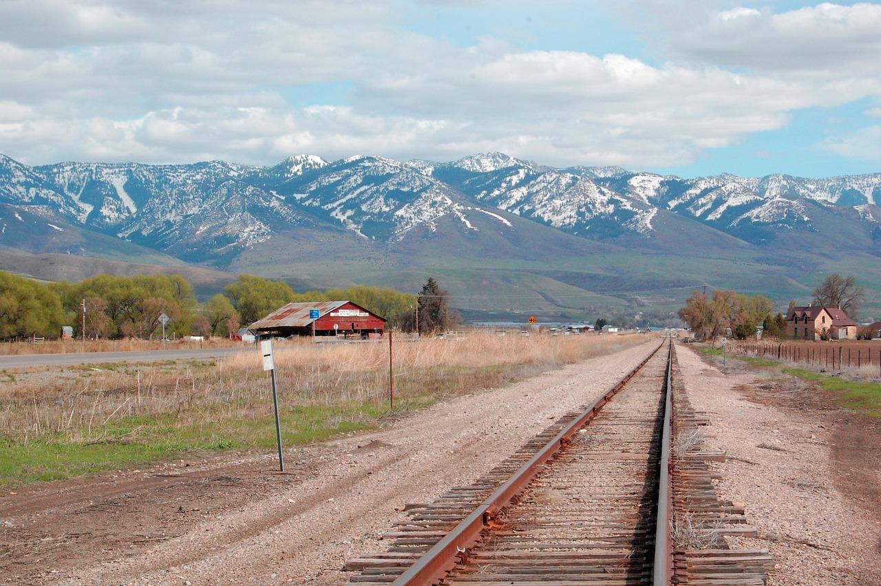 真爱定义_真爱条件_真爱趁现在下载