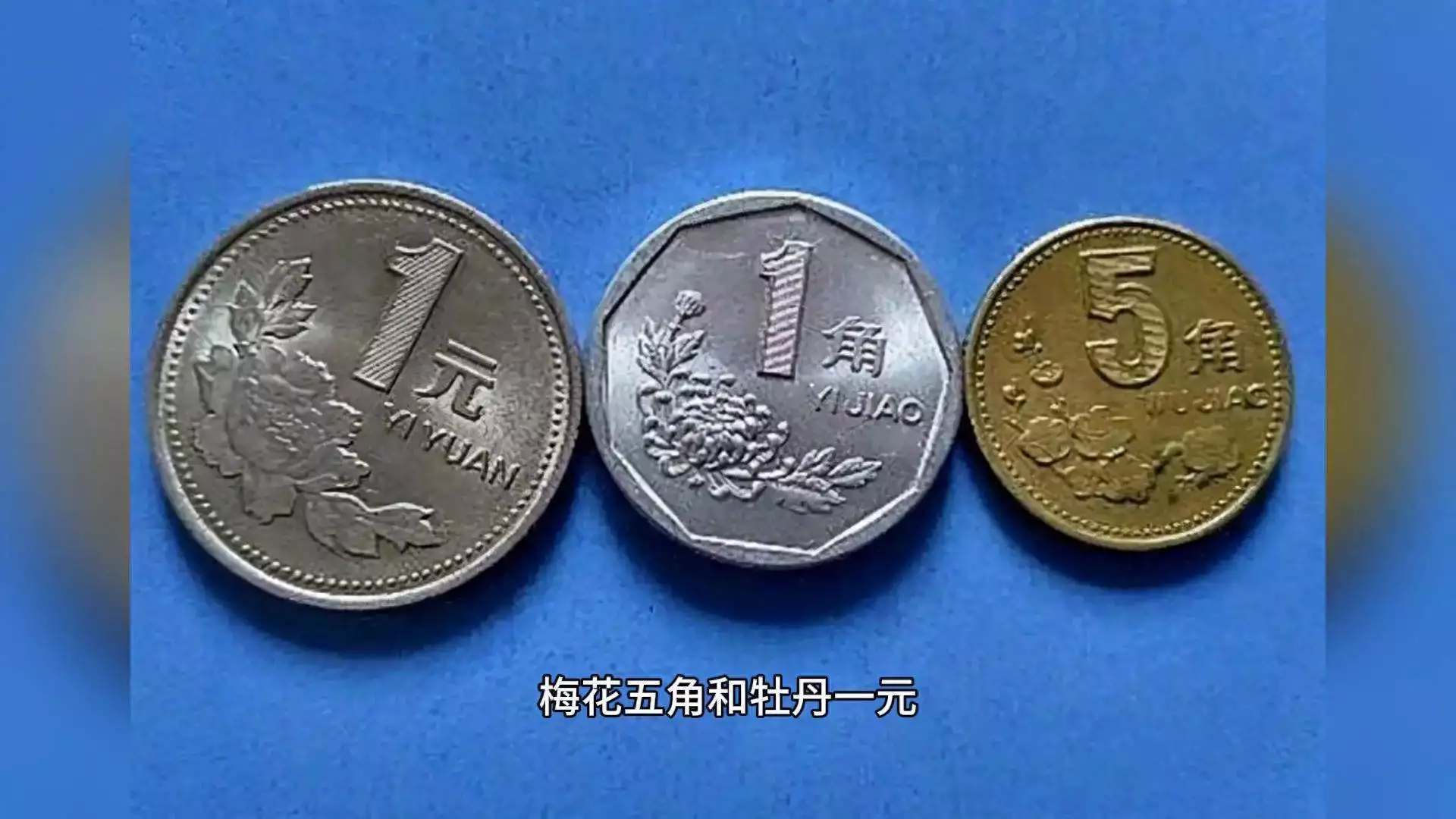 93年梅花五角市场价格_五角梅花硬币 迅雷下载_梅花五角硬币价值