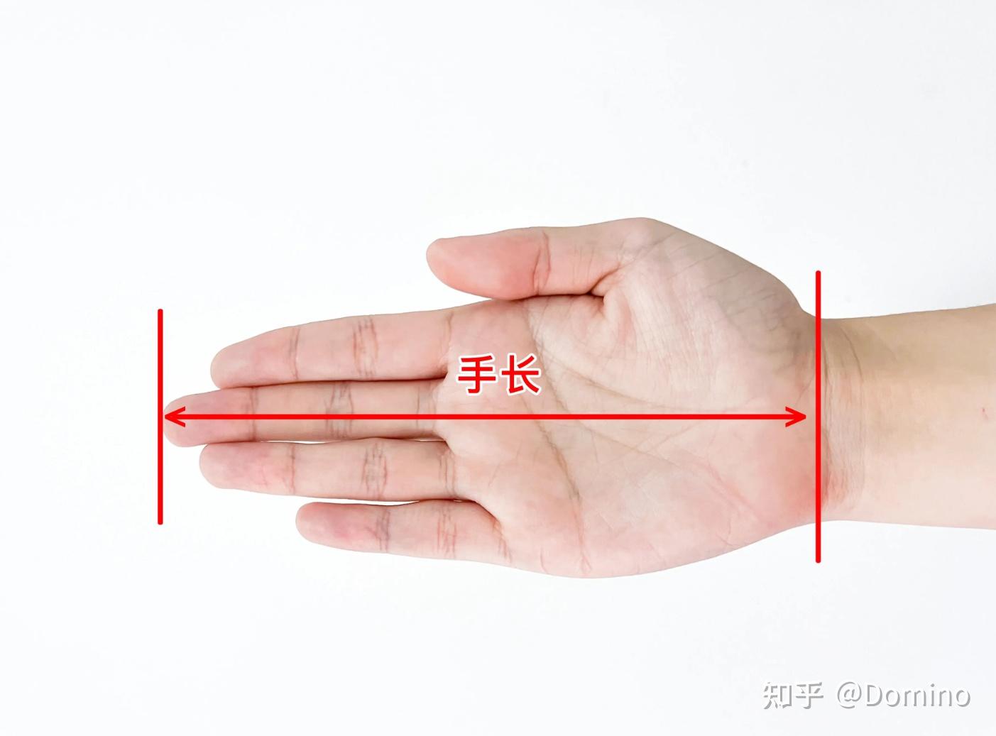 选购鼠标推荐_鼠标连点器官方下载_不同手长握持方式鼠标推荐