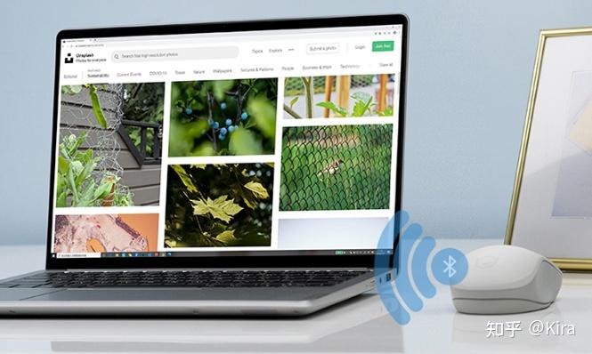 鼠标选购指南_模具设计尺寸造型重量材质_鼠标连点器官方下载