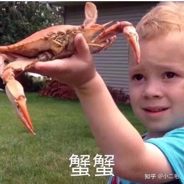 罗技G系列鼠标_鼠标连点器官方下载_罗技MX系列办公鼠标