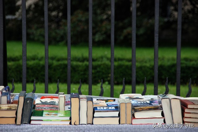 极品坏公子下载_极品公子 烽火戏诸侯 80后青春回忆